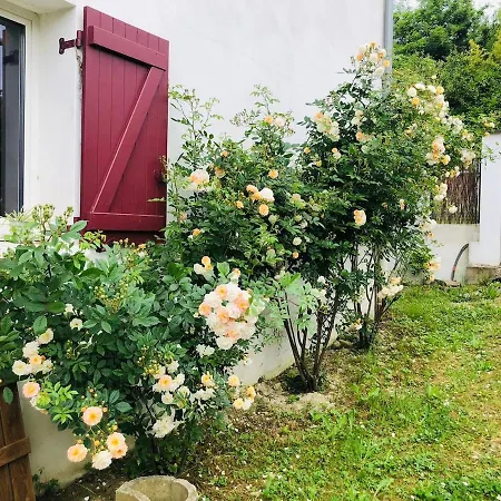 펜션 Maison Avec Jardin Et Piscine *